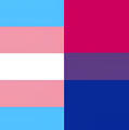 Trans/Bi